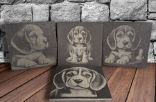 Beagle Slate Coaster Gift Set