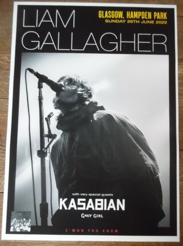 Liam gallagher oasis live - liam,