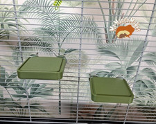 Rat platform hamster - rat, platform,