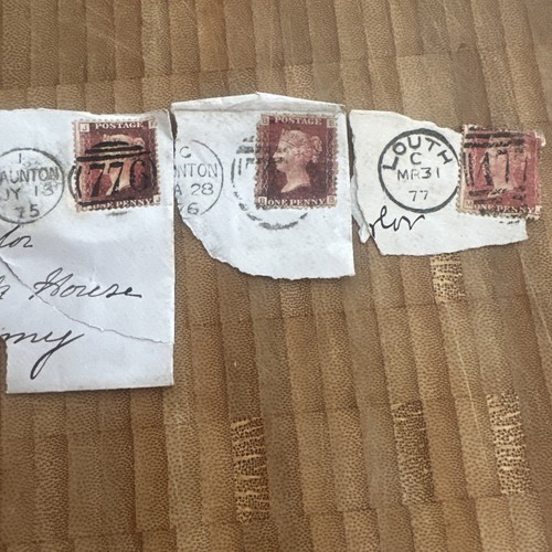 Queen victoria penny reds - victoria,