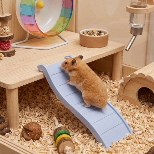 Wave shape hedgehog - hedgehog, ladder