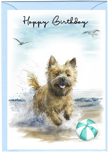 Cairn terrier dog - terrier, 6")