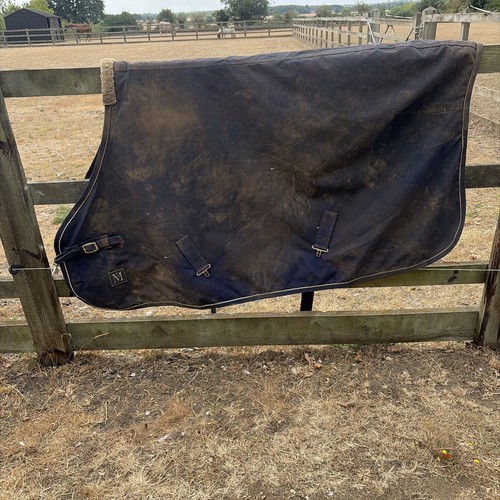Mark todd foal - mark,