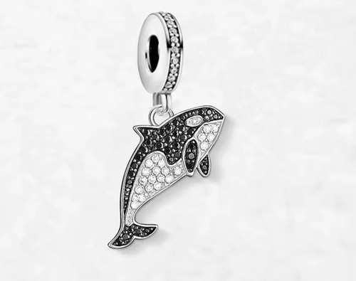 Orca killer whale animal - whale,