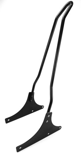 Sissybar compatible with