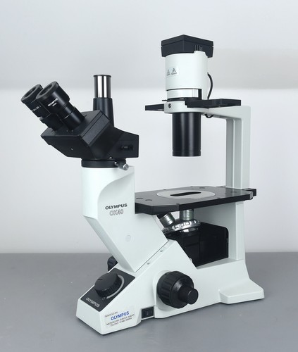 Olympus ck40 inverted phase - olympus,