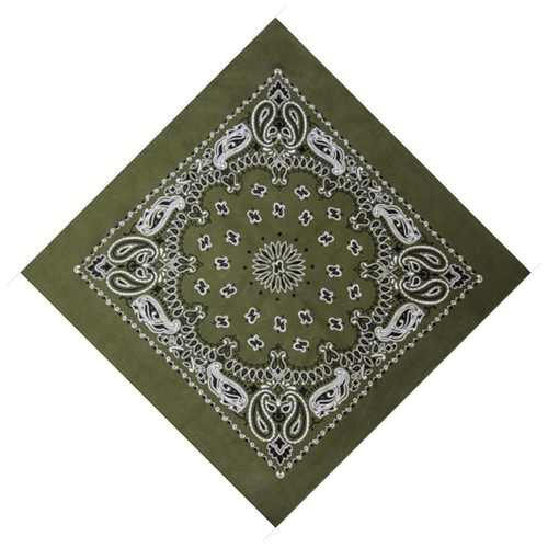Extra large paisley - paisley, bandana
