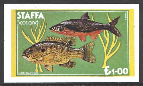 Staffa scotland fishes green - fishes,,