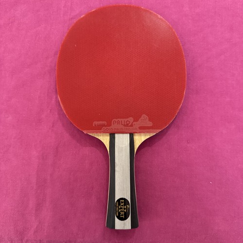 Palio expert table tennis - table,