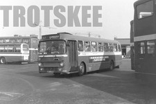 35mm Black and White Negative