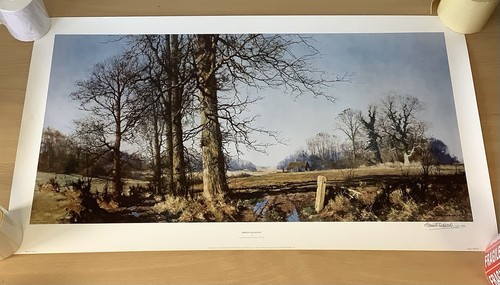 David shepherd signed print - shepherd,
