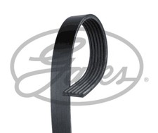 GATES 6PK1020EST V-Ribbed Belt