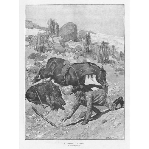 Caton woodville perilous - caton,