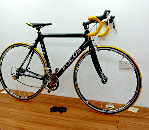 Focus cayo expert - expert, carbon