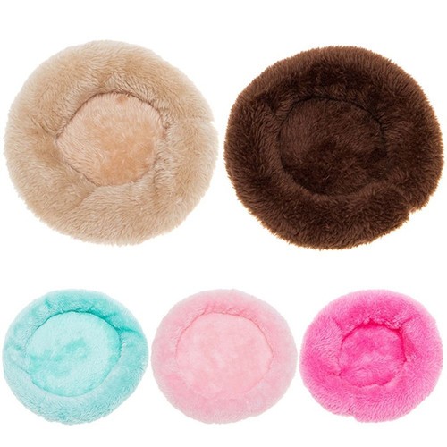 Guinea pig hamster - pig, pad