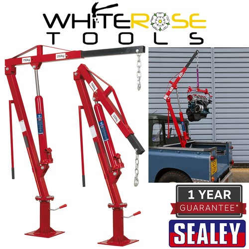 Sealey crane static mounted - static,