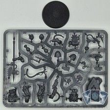 Space Marines Primaris