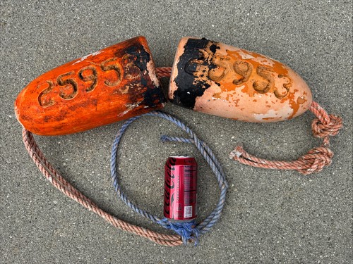 Real lobster crab trap - real, buoy