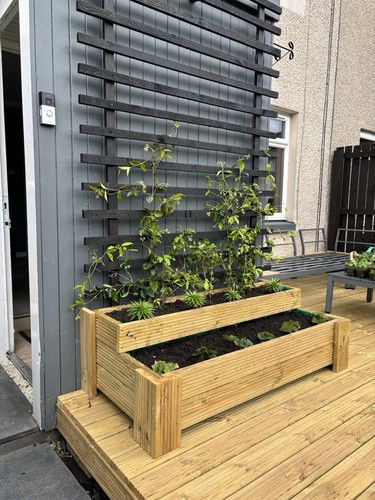 Premium redwood planter - premium, /