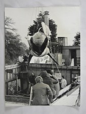 Killer Whale Ramu Hoisted