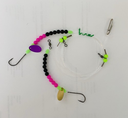 Sea fishing rigs 2 hook - rigs,