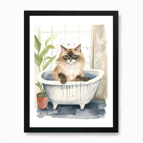 Birman cat bathtub - cat, in
