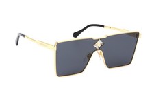 8078/LOUIS VUITTON MEN'S LV