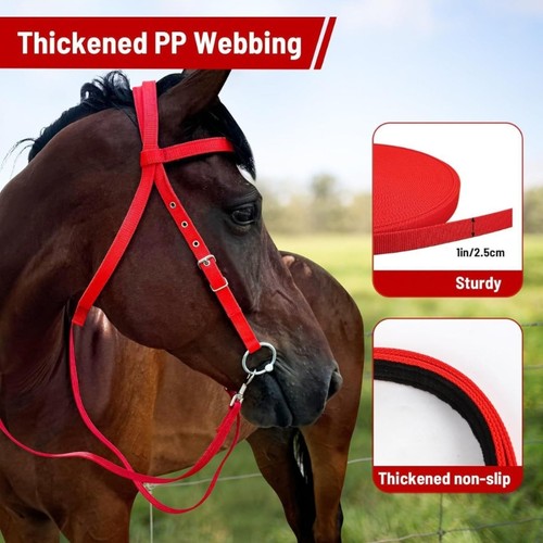 Luxurious leather horse - leather,