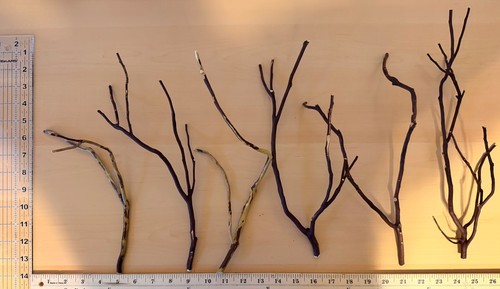Manzanita branches small - small, qty