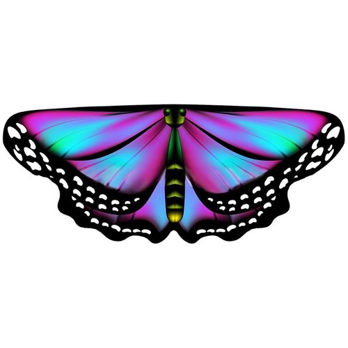 Costume dress butterfly - costume, wings