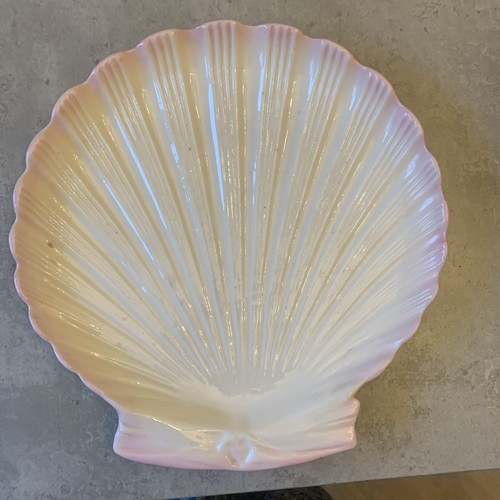 Antique belleek tridacna - antique, 8.25"