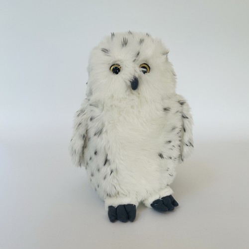 Living nature snowy owl - snowy,