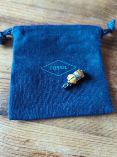 New rare fossil beetle - fossil,