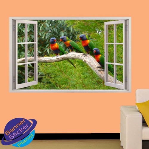 Colorful parrots wild forest - wild,