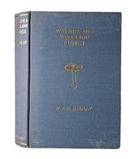 Wayside And Woodland Fungi -