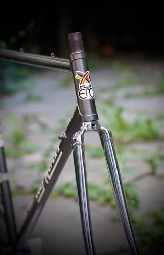 Eddy merckx professional frame - merckx,