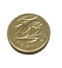 £1 ONE POUND RARE BRITISH
