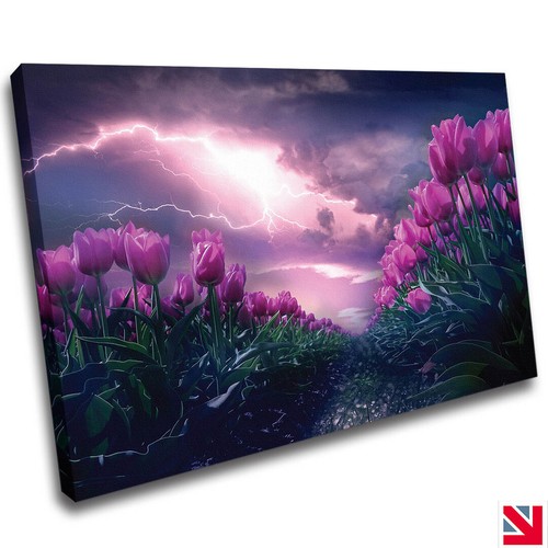 Pink tulip flower garden - tulip,