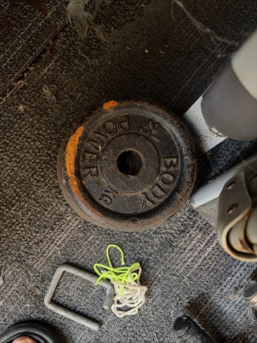 Home gym bench and squat - gym,