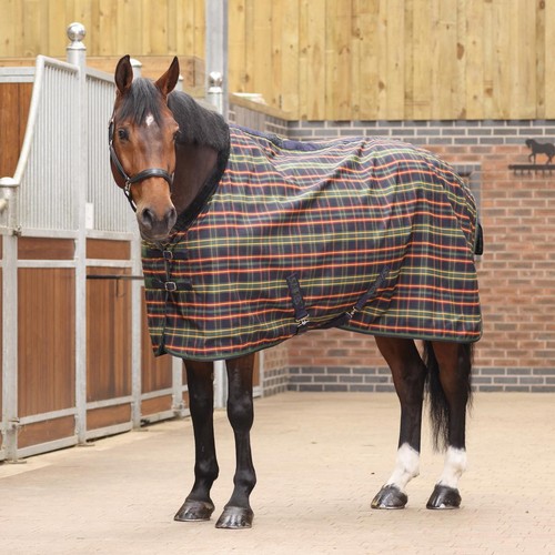 Shires tempest plus lite - plus, 0g