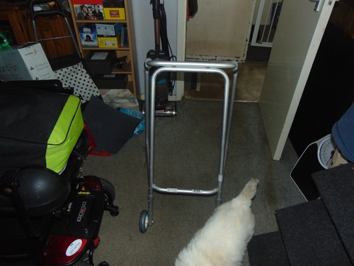 Lightweight aluminium walking - lightweight,