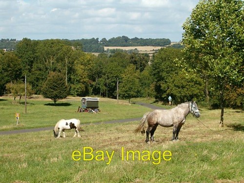 Photo 6x4 horse - 6x4, horse-drawn