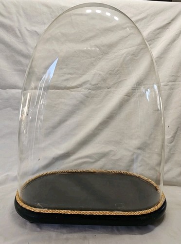 Large antique glass dome with - ,