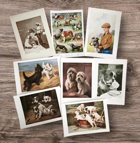 Set vintage 1930s dog - 8,