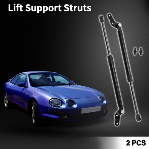 Rear hatch lift supports - lift,