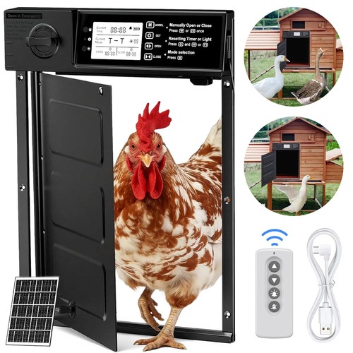 Chicken coop door - coop,