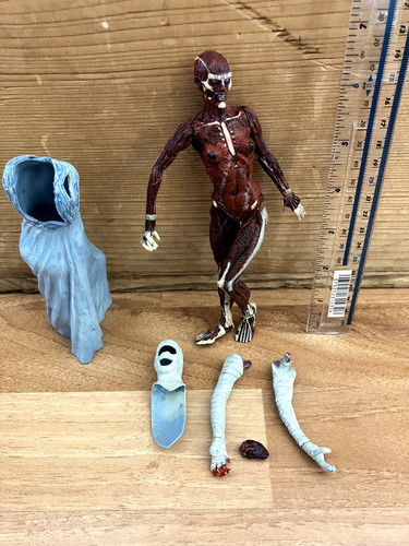 Neca skinless julia - neca,