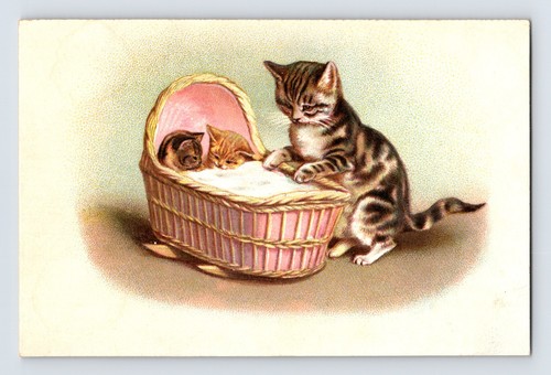 Cats kittens cradle - cradle, basket