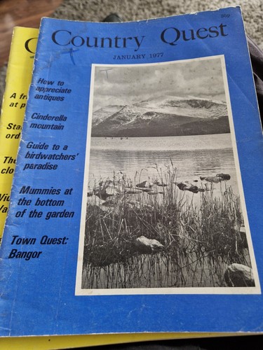 Vintage 1977 january - vintage,