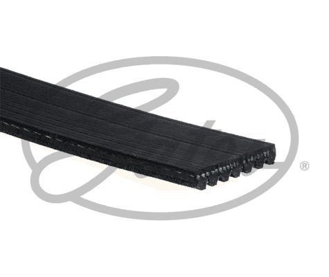 Gates micro multi ribbed - gates, multi-ribbed